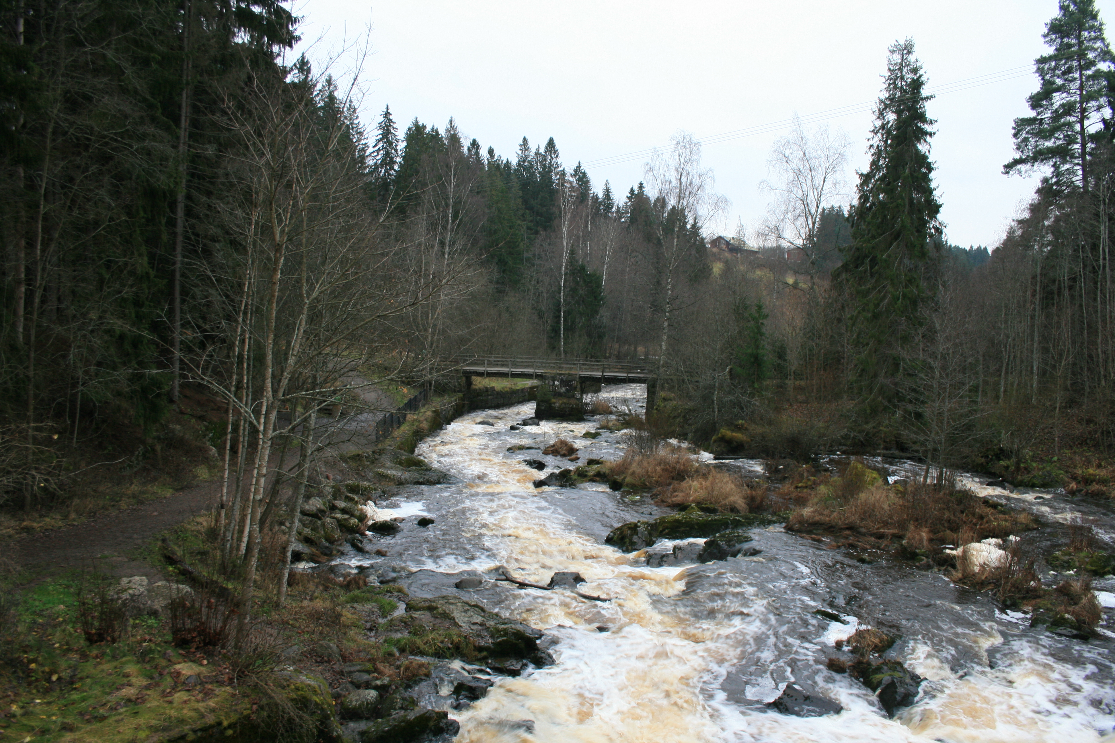 Valokuva kuohuavasta koskesta