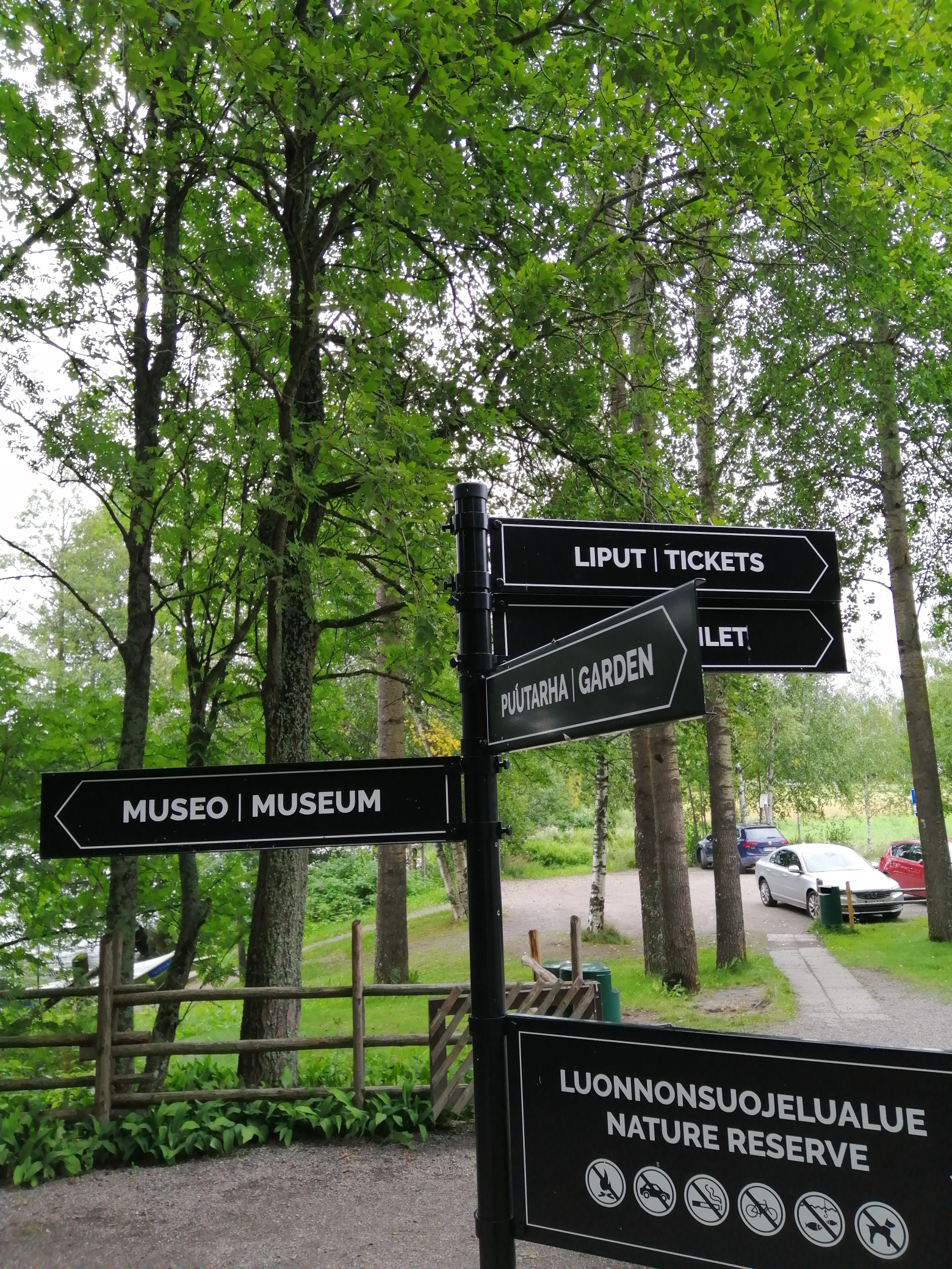 Tienviitta vihreässä luonnossa